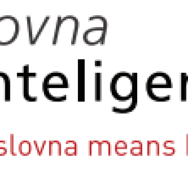 Poslovna inteligencija d.o.o.